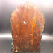 Ganesh in legno (6649638256804)