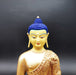 buddha Amitaba (6855011008676)