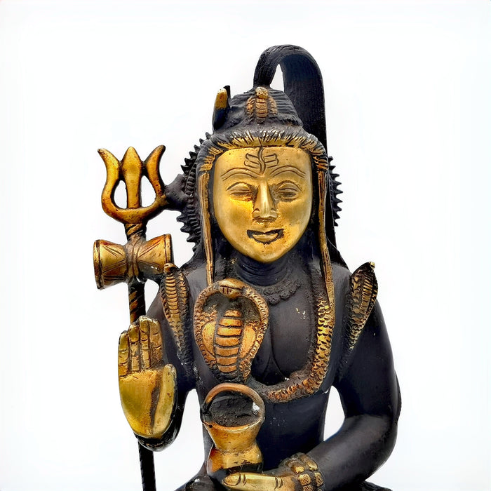 Shiva (7644210856158)