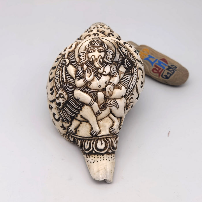 Conchiglia Ganesha