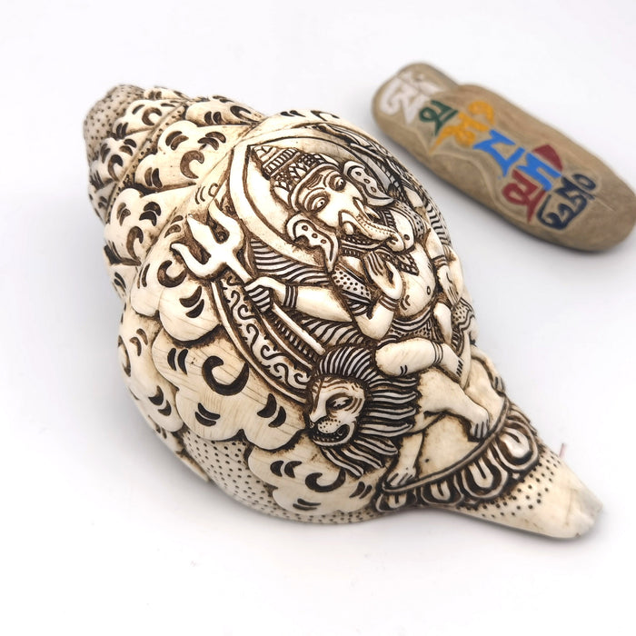 Conchiglia Ganesha