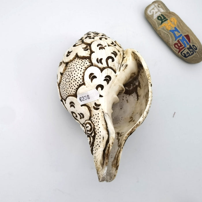 Conchiglia Ganesha