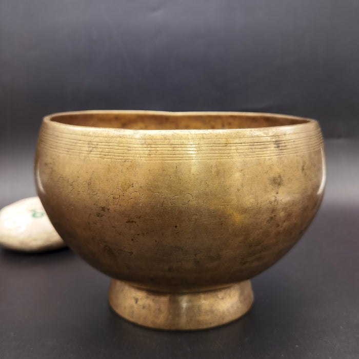 Campana Tibetana Naga