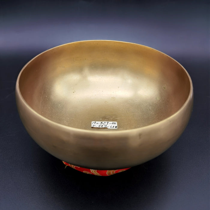 Campana Tibetana hans