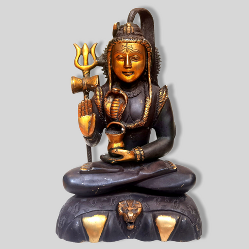 Shiva (7644210856158)